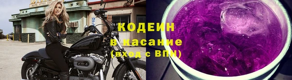 прущие грибы Карпинск