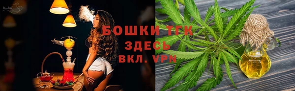 прущие грибы Карпинск