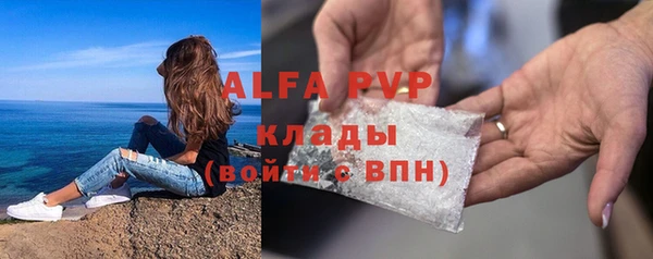 прущие грибы Карпинск