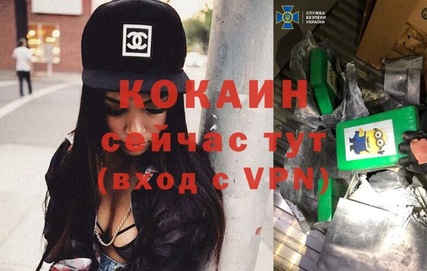 прущие грибы Карпинск