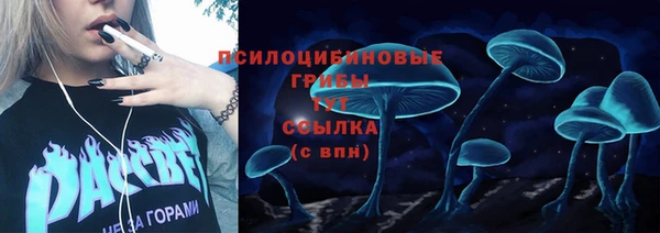прущие грибы Карпинск