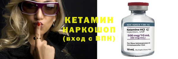прущие грибы Карпинск