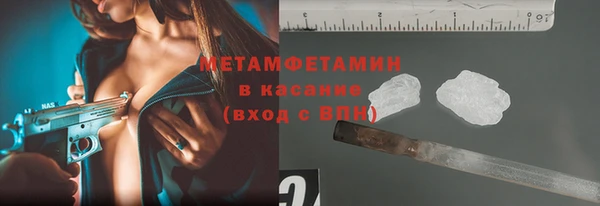 прущие грибы Карпинск