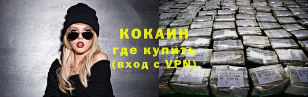 прущие грибы Карпинск