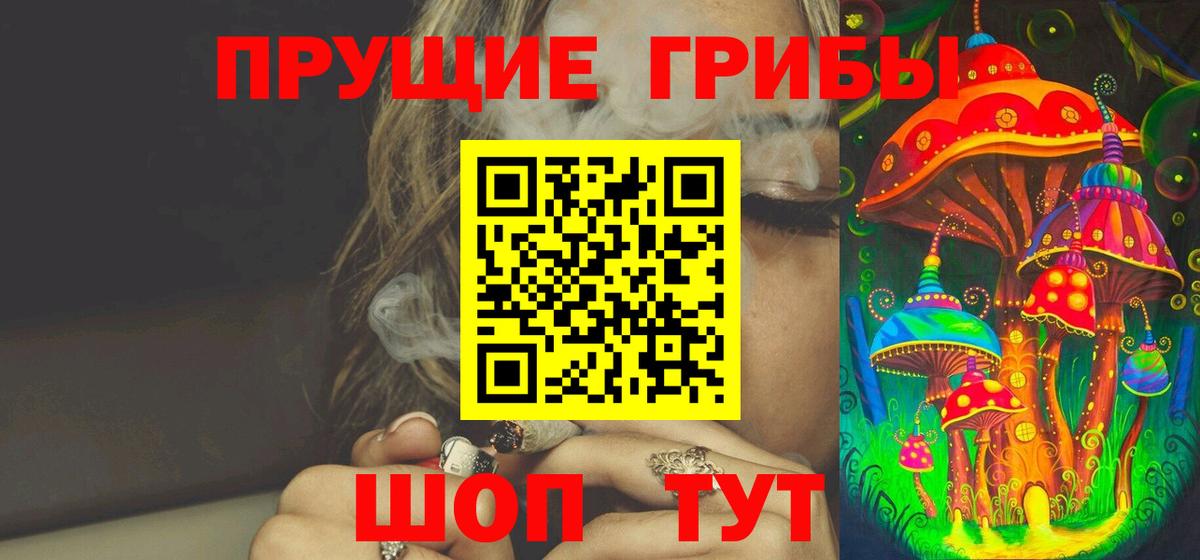 Псилоцибиновые грибы Cubensis Стерлитамак