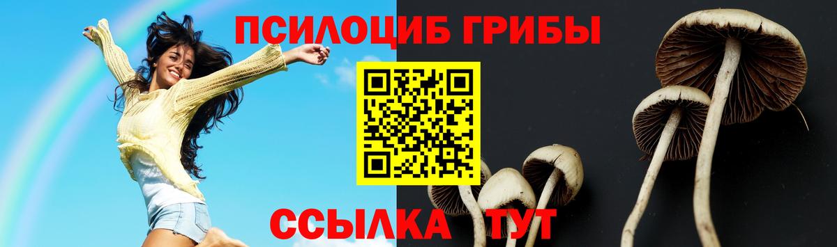 Галлюциногенные грибы Magic Shrooms  Псилоцибиновые грибы мицелий  Стерлитамак  Вход с VPN 
